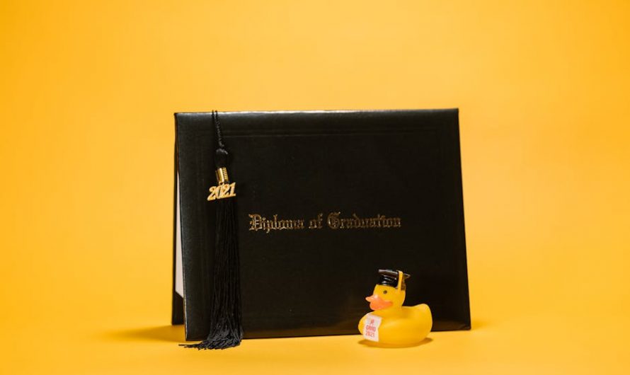 Купить диплом с внесением в реестр